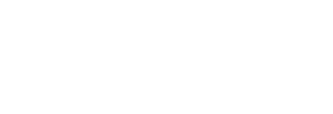Brazilian Lumber New York logo